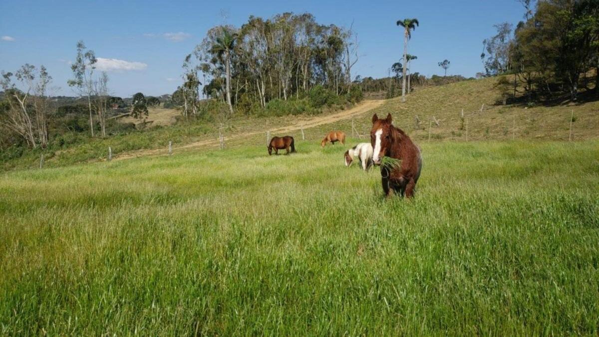 Rancho Sol Poente - Rancho Queimado - Sc Villa Екстериор снимка